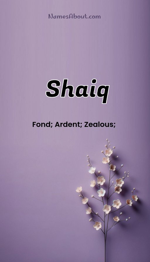 Meaning of Shaiq