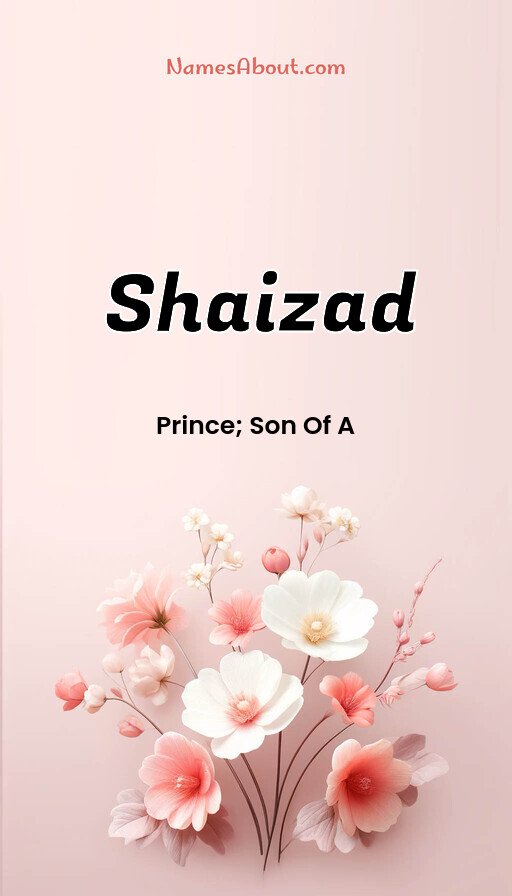 Meaning of Shaizad