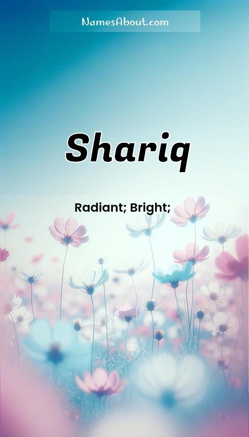 Meaning of Shariq