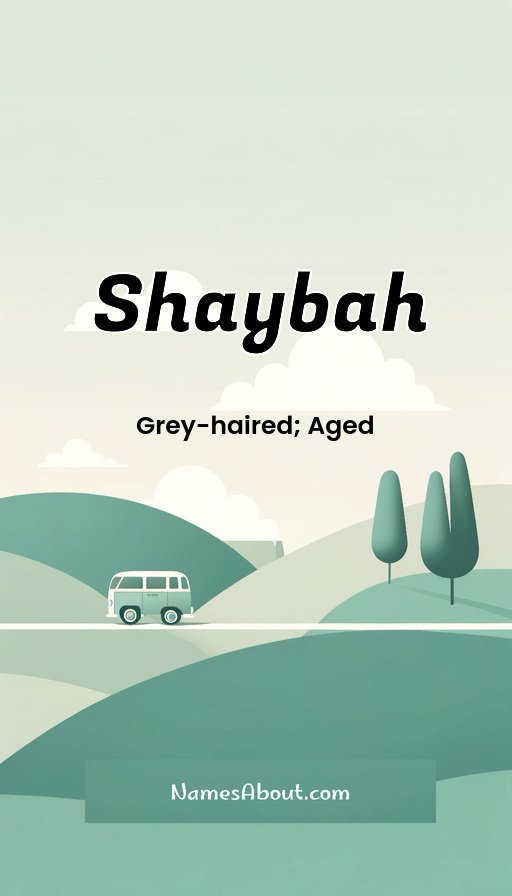 Meaning of Shaybah