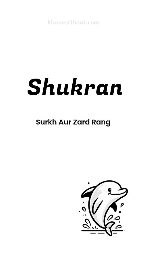 Meaning of Shukran