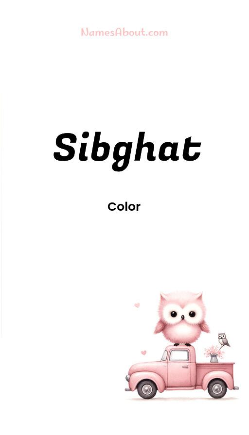 Illustration of Sibghat