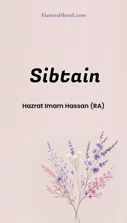 Illustration of Sibtain