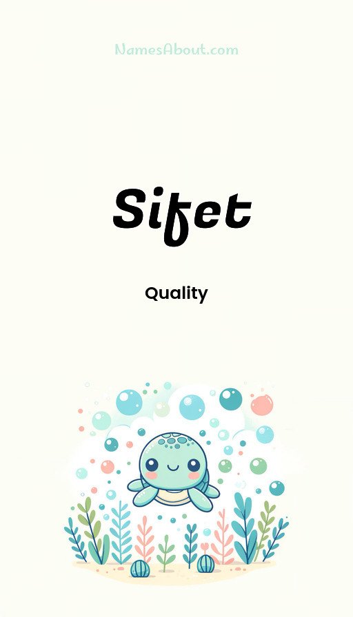 Meaning of Sifet