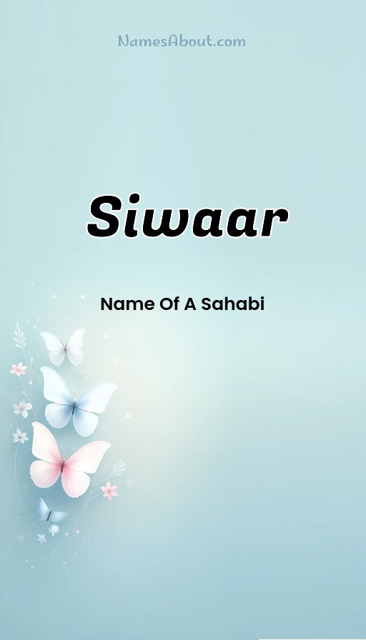 Meaning of Siwaar