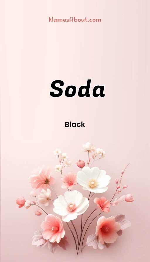 Meaning of Soda