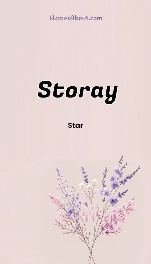 Meaning of Storay