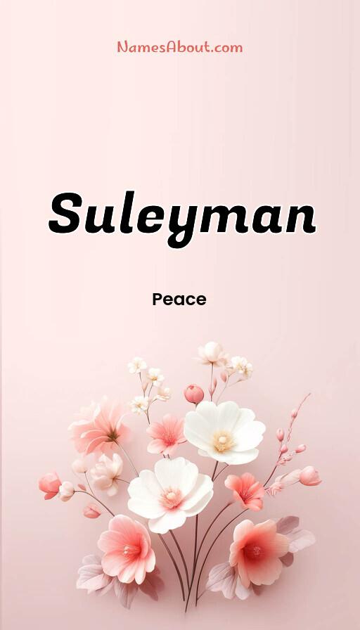 Illustration of Suleyman