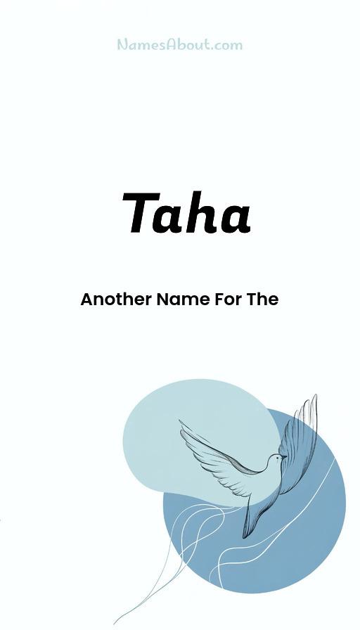 Illustration of Taha