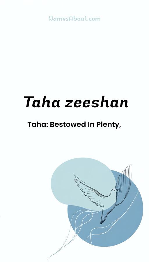 Taha zeeshan name and meaning