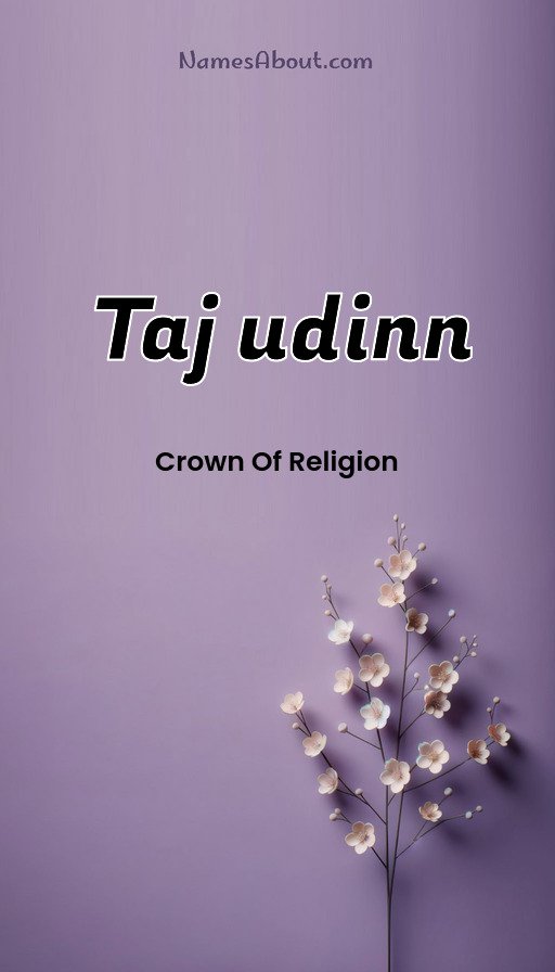 Meaning of Taj udinn