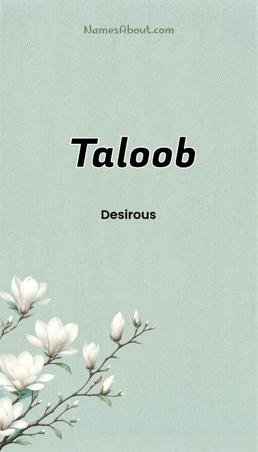 Meaning of Taloob