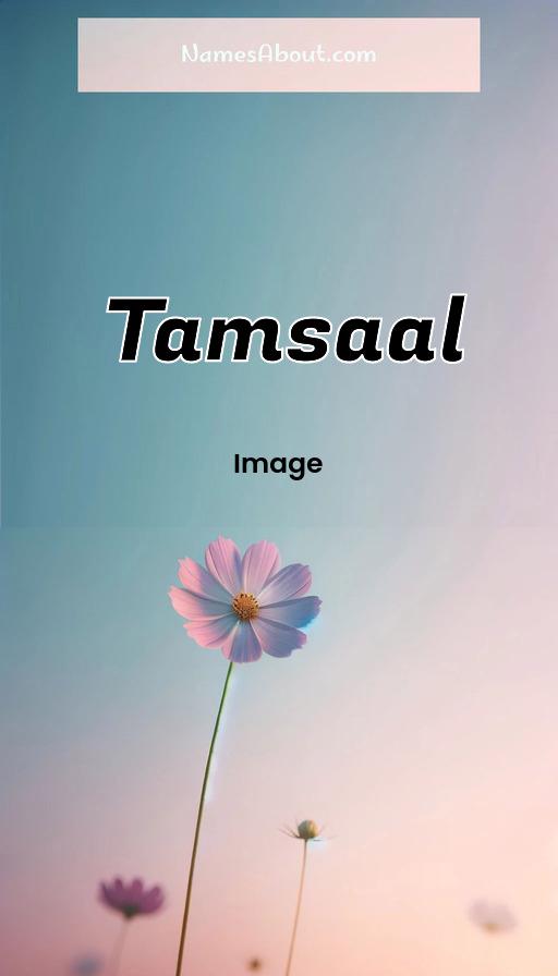 Meaning of Tamsaal