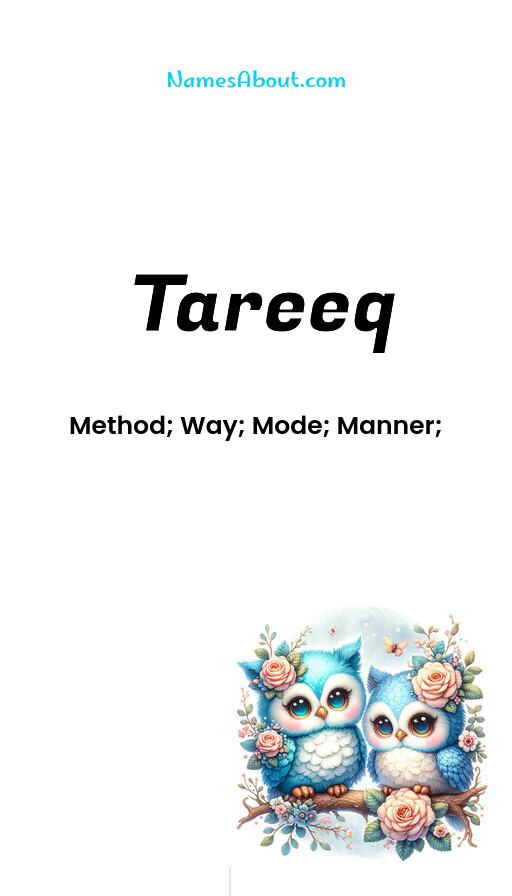 Meaning of Tareeq