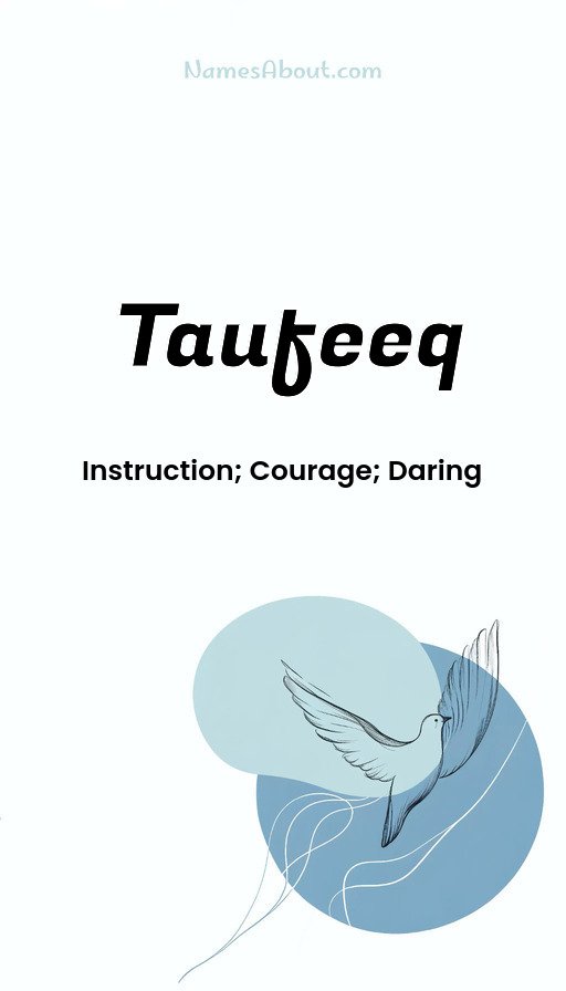 Meaning of Taufeeq