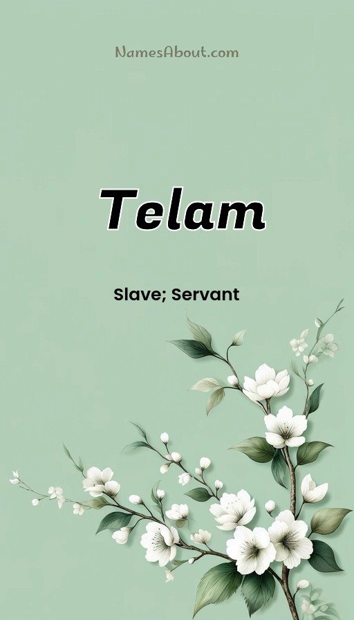 Meaning of Telam