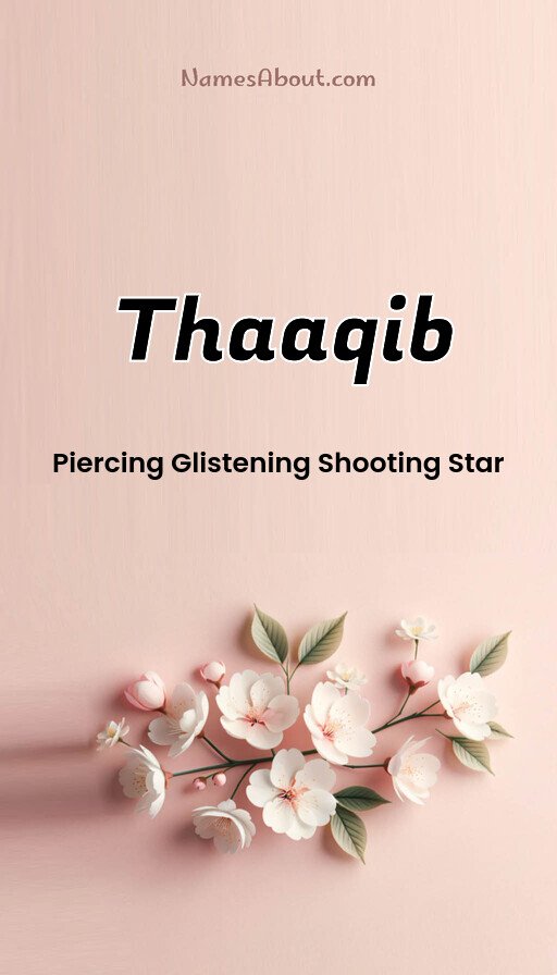 Meaning of Thaaqib