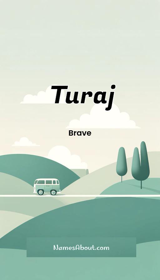 Meaning of Turaj