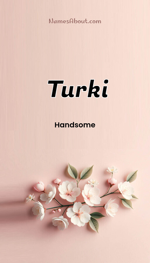 Meaning of Turki