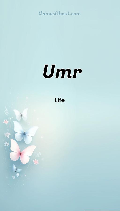 Meaning of Umr