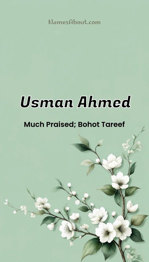 Meaning of Usman ahmed