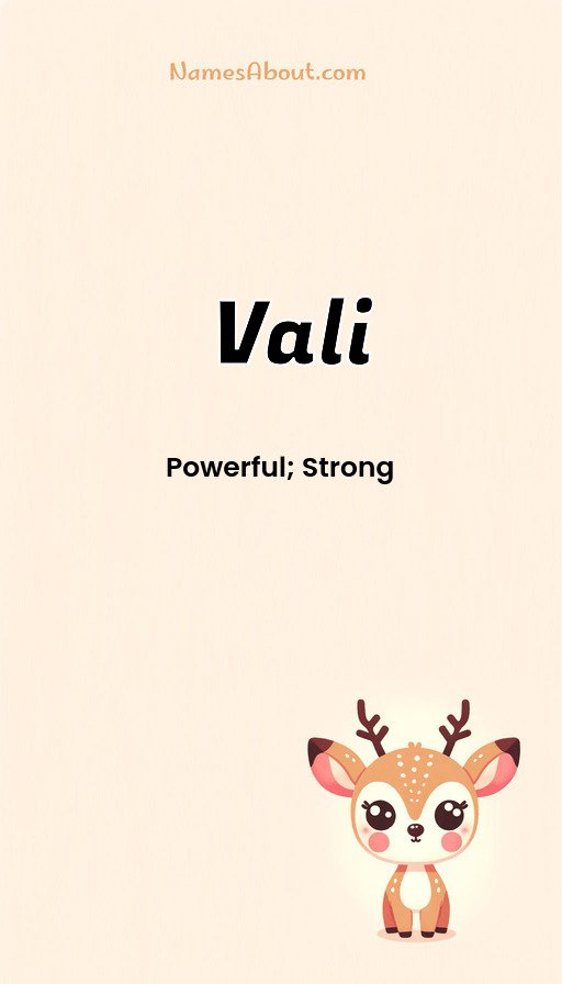Meaning of Vali