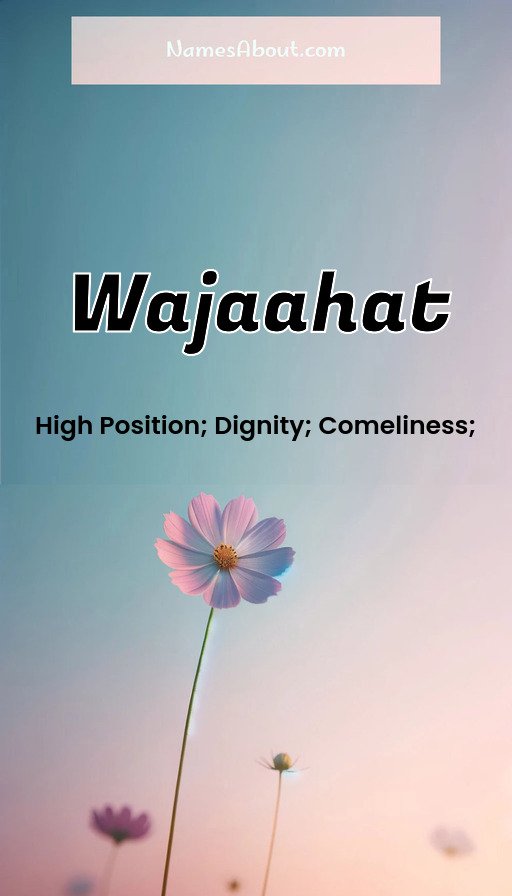 Meaning of Wajaahat