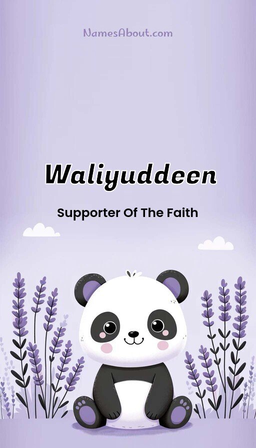 Meaning of Waliyuddeen