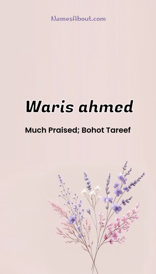 Meaning of Waris ahmed