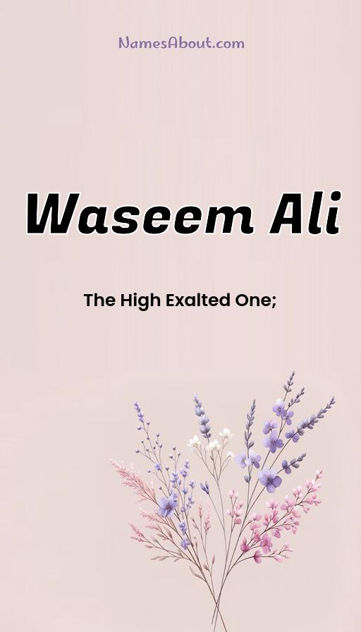 Waseem Ali name and meaning