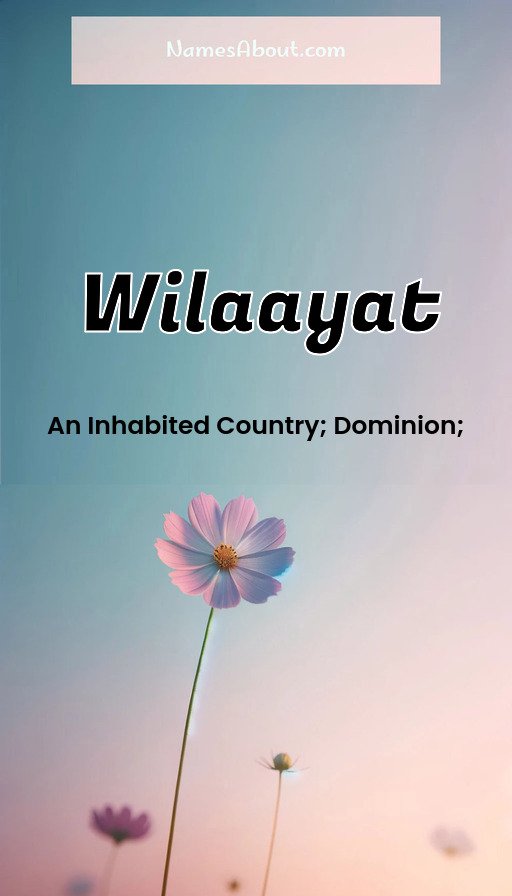 Meaning of Wilaayat