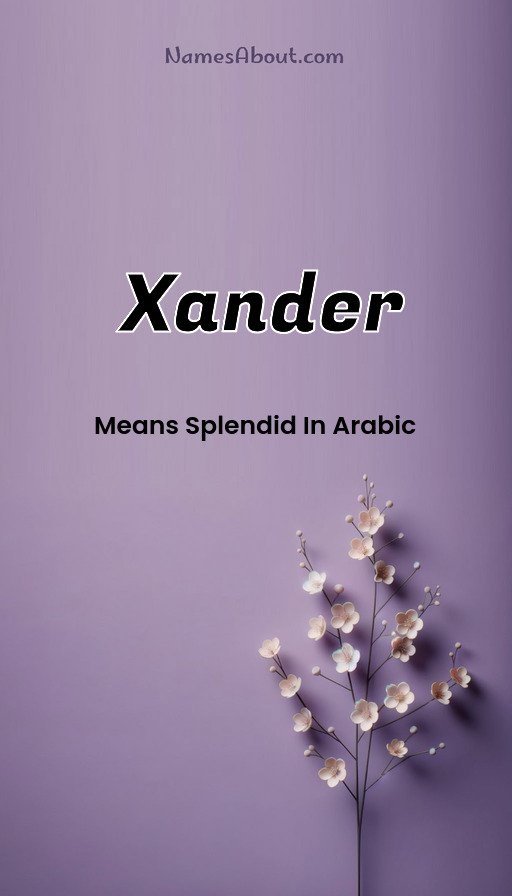 Meaning of Xander