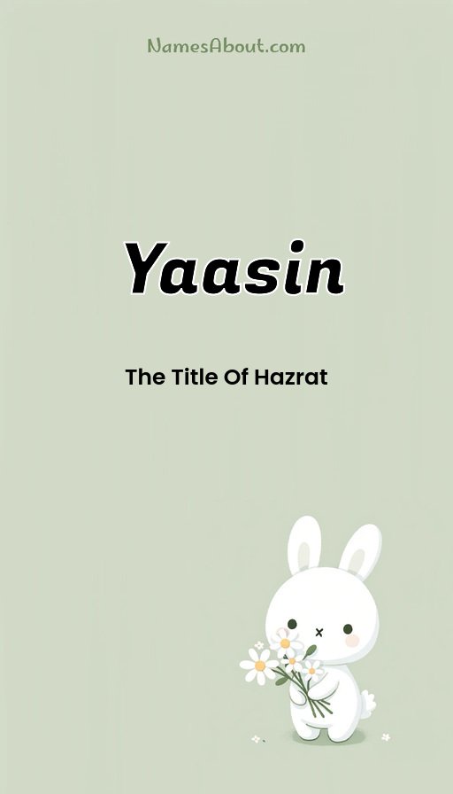 Meaning of Yaasin