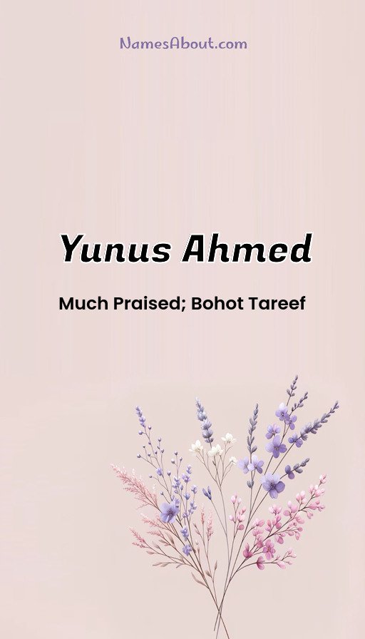 Meaning of Yunus ahmed