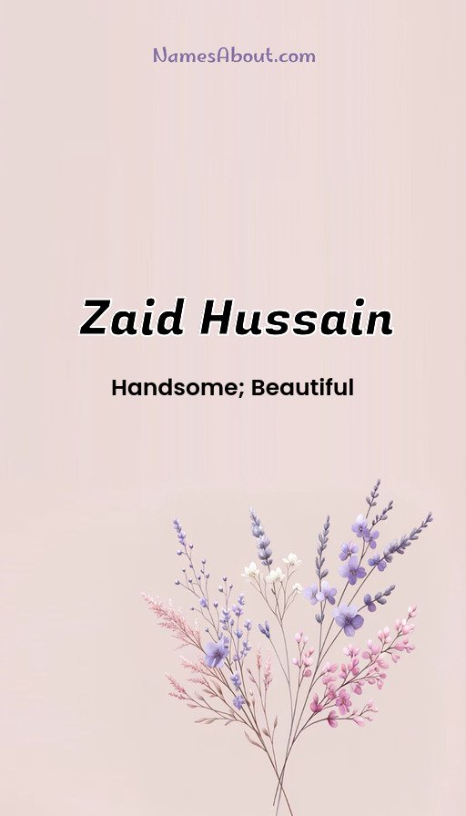 Meaning of Zaid hussain