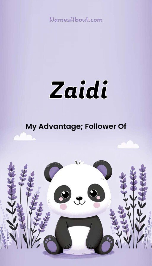 Meaning of Zaidi