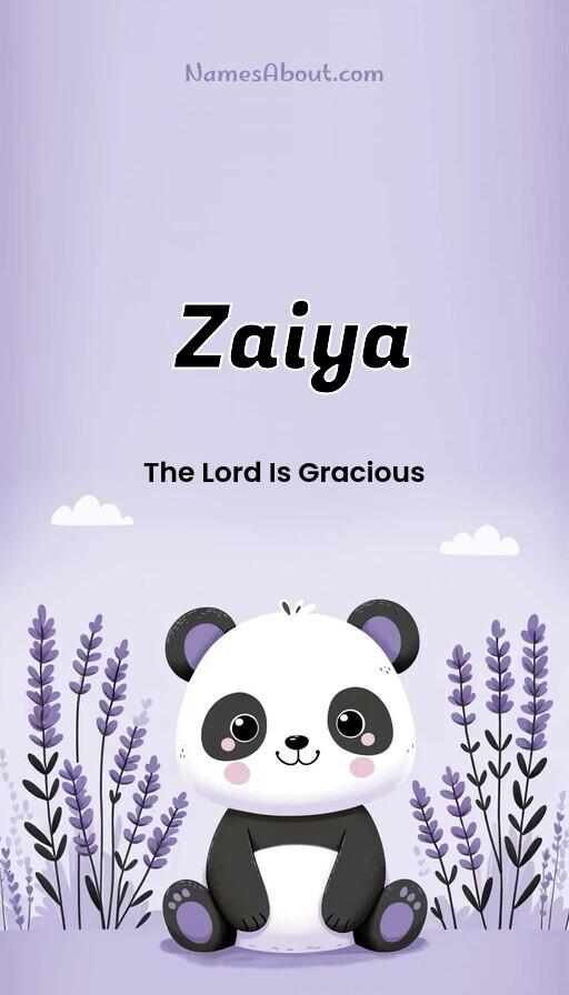 Meaning of Zaiya