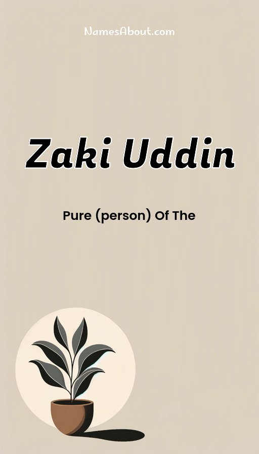 Meaning of Zaki uddin