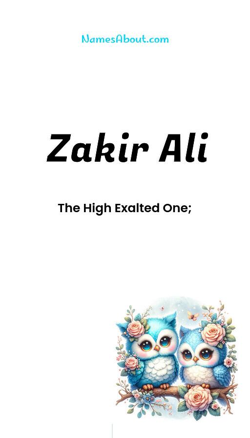 Zakir Ali name and meaning