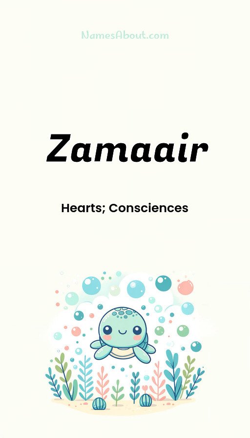 Meaning of Zamaair