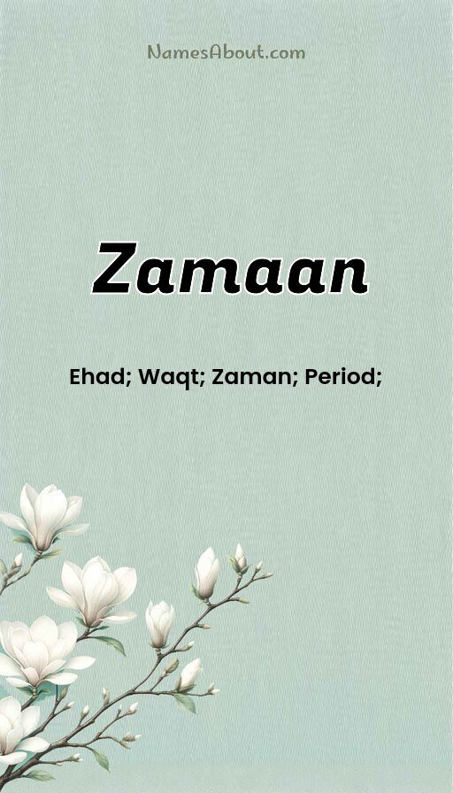 Meaning of Zamaan