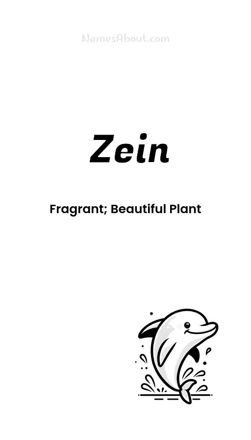 Meaning of Zein