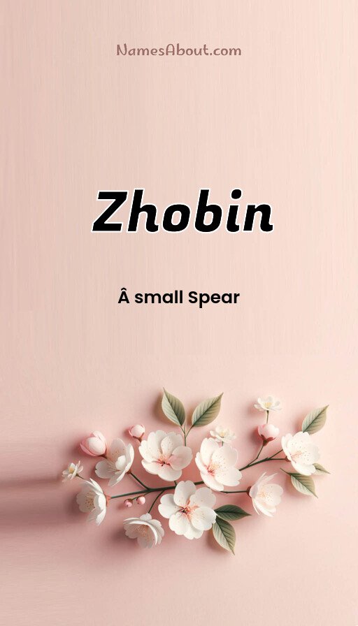 Meaning of Zhobin
