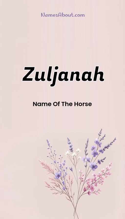 Meaning of Zuljanah