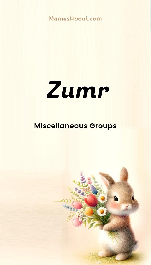 Meaning of Zumr