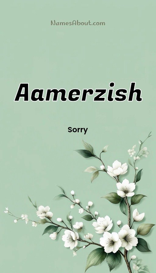 Meaning of Aamerzish