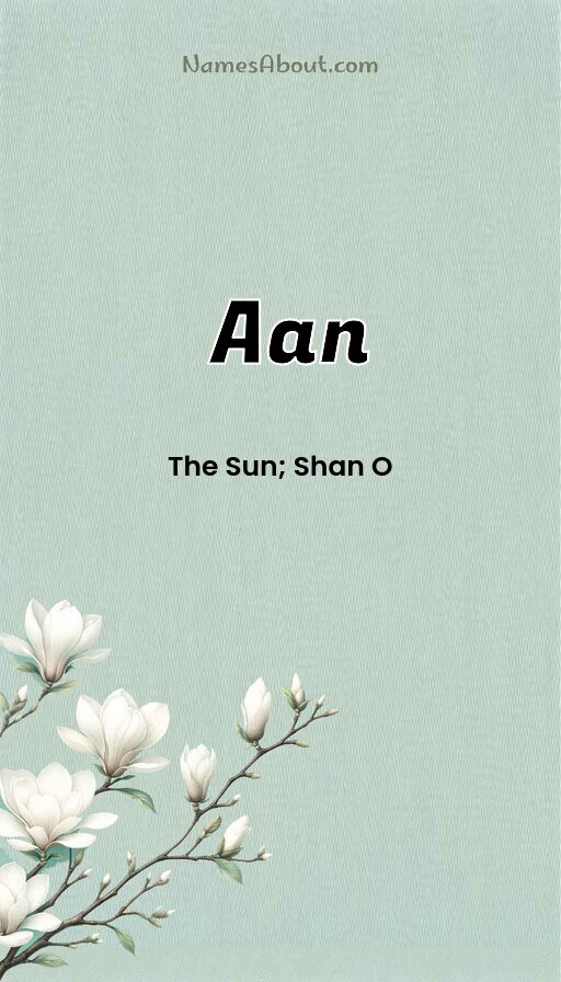 Meaning of Aan