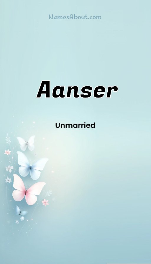 Meaning of Aanser