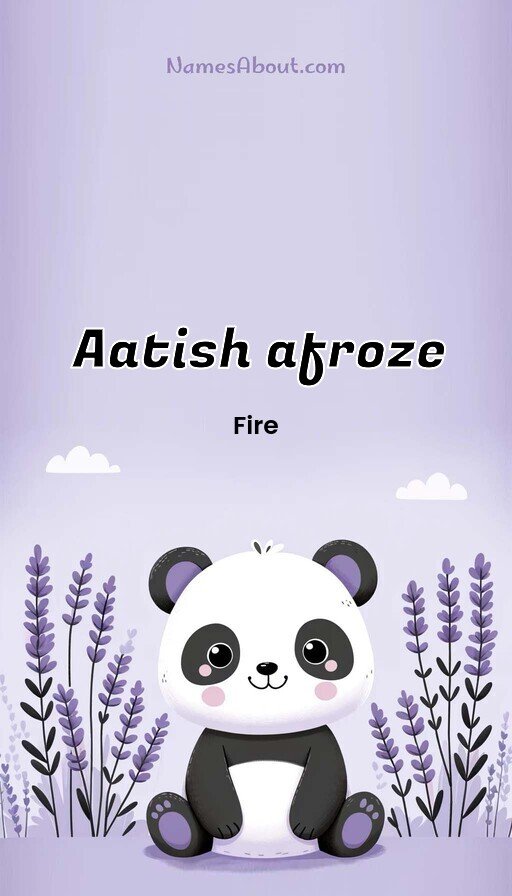 Meaning of Aatish afroze