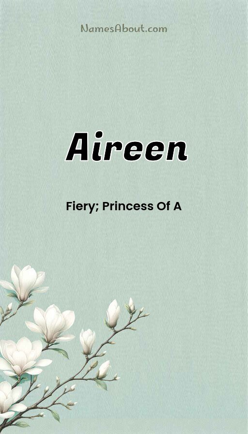 Meaning of Aireen